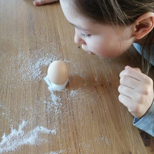 Experimente mit Ei