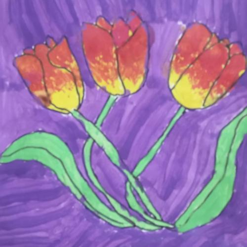 Unsere bunte Wiese