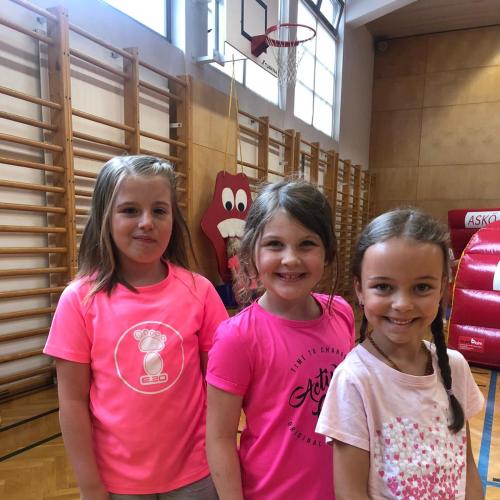 Sportfest und Wandertag