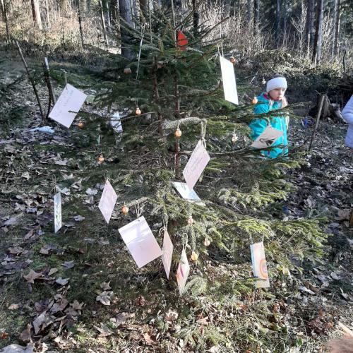 Wanderung zum Klassenbäumchen 2a