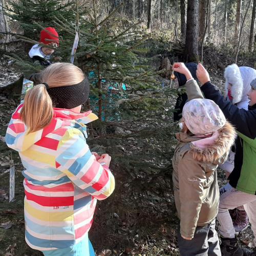 Wanderung zum Klassenbäumchen 2a