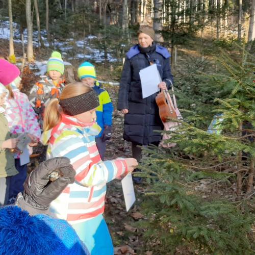 Wanderung zum Klassenbäumchen 2a