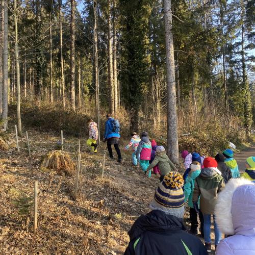 Wanderung zum Klassenbäumchen 2a