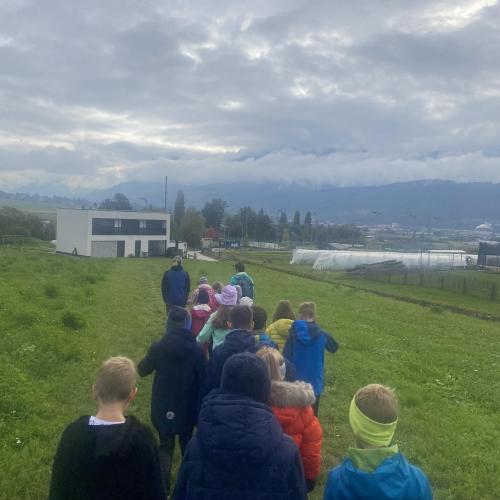 Herbsternte 3a + UKR