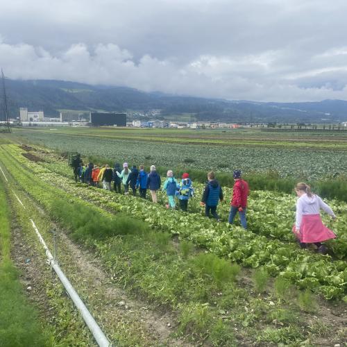 Herbsternte 3a + UKR