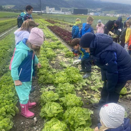 Herbsternte 3a + UKR