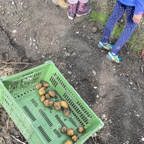 Herbsternte 3a + UKR