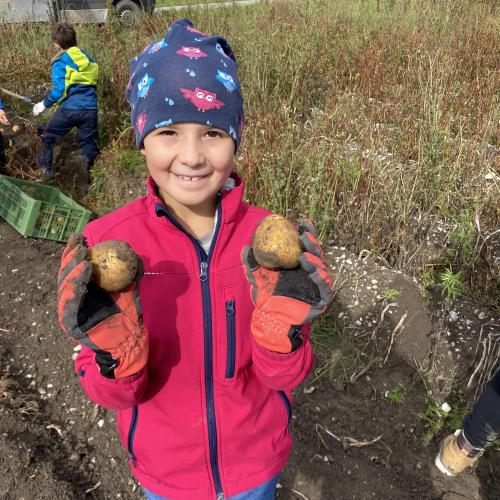 Herbsternte 3a + UKR