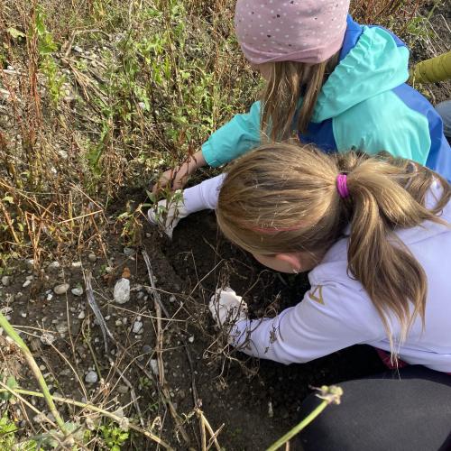 Herbsternte 3a + UKR