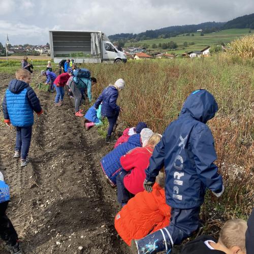 Herbsternte 3a + UKR