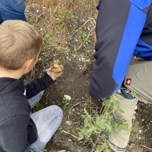 Herbsternte 3a + UKR