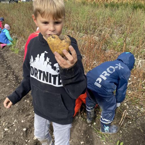 Herbsternte 3a + UKR