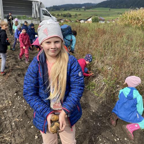 Herbsternte 3a + UKR