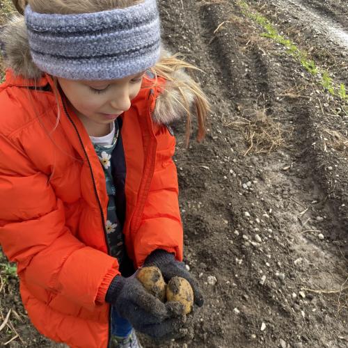 Herbsternte 3a + UKR