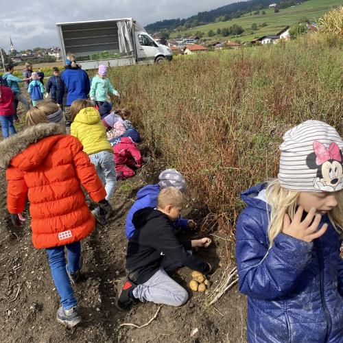 Herbsternte 3a + UKR