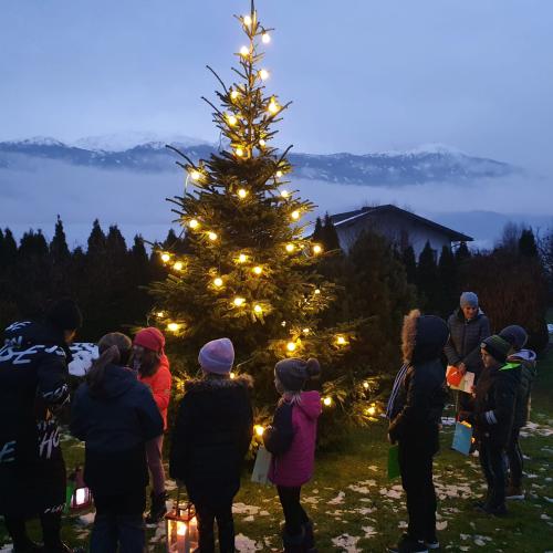 Klassenbäumchen Weihnachten 3a