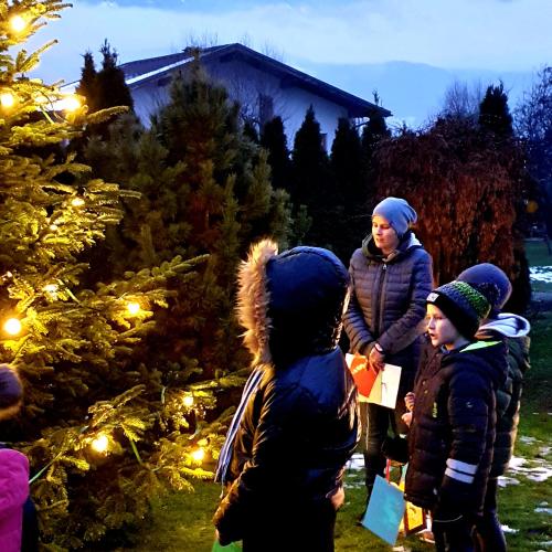Klassenbäumchen Weihnachten 3a