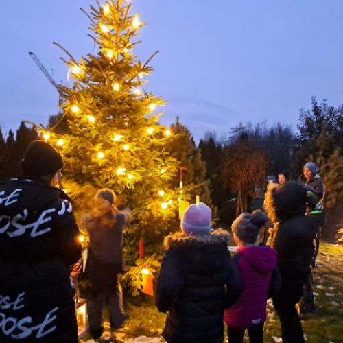 Klassenbäumchen Weihnachten 3a