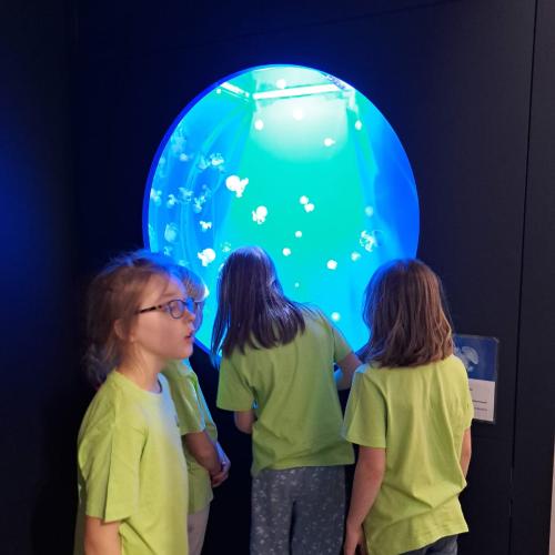 EUREGIO- Ausflug Bozen - 3. Klassen