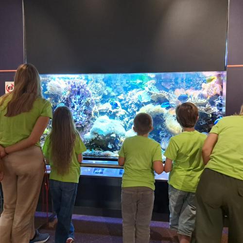 EUREGIO- Ausflug Bozen - 3. Klassen