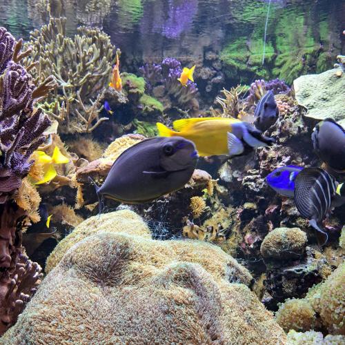 EUREGIO- Ausflug Bozen - 3. Klassen