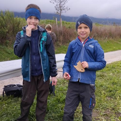 Thaurer Landwirtschaft