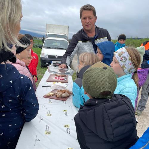 Thaurer Landwirtschaft