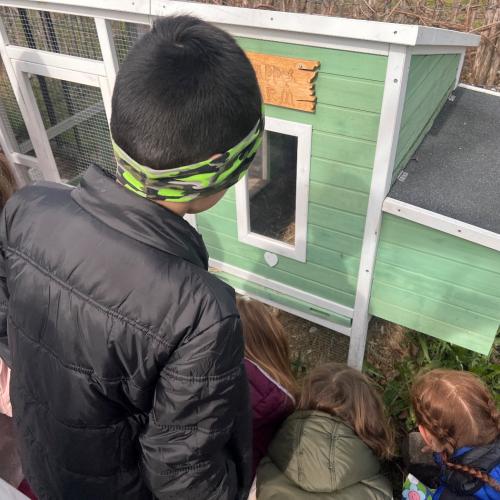 Lehrausgänge- Tiere 1a