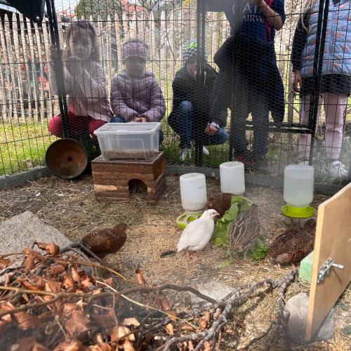 Lehrausgänge- Tiere 1a