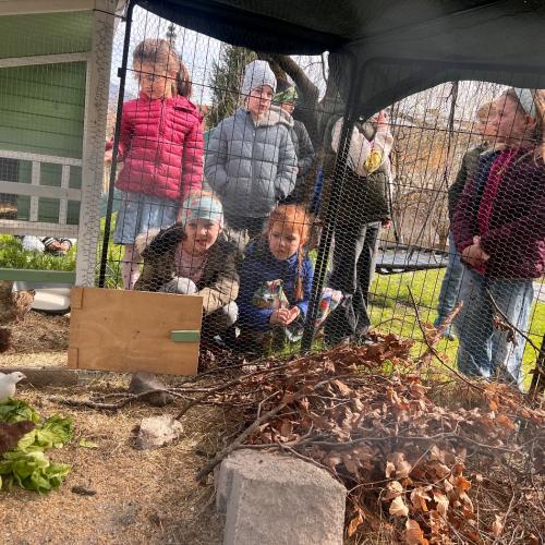 Lehrausgänge- Tiere 1a