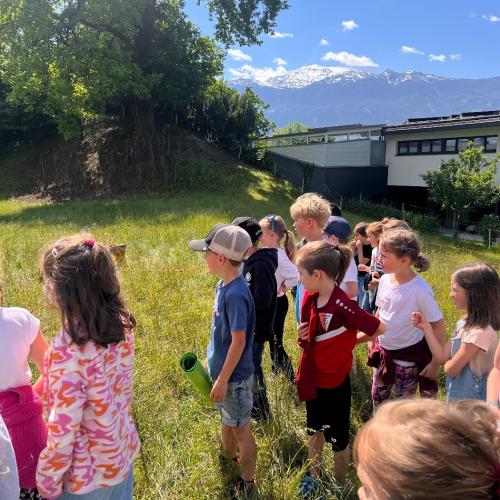 Lehrausgänge- Tiere 1a