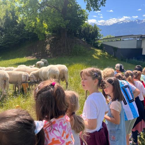 Lehrausgänge- Tiere 1a