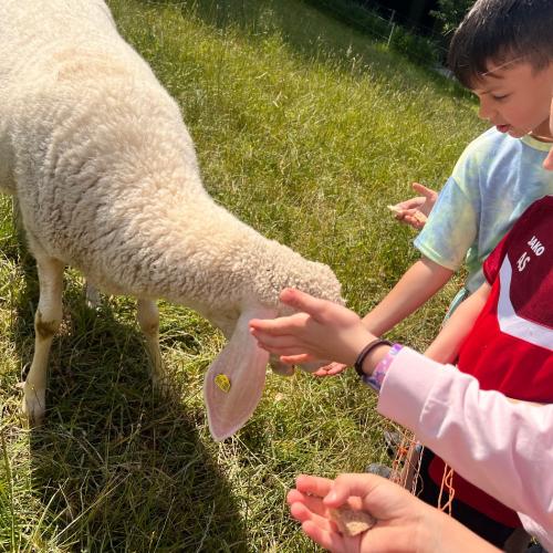 Lehrausgänge- Tiere 1a