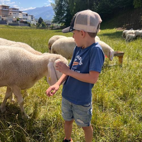 Lehrausgänge- Tiere 1a