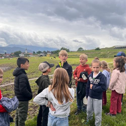 Lehrausgänge- Tiere 1a