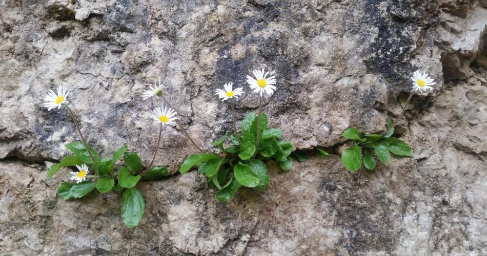 Die Schule öffnet wieder ihre Tore!