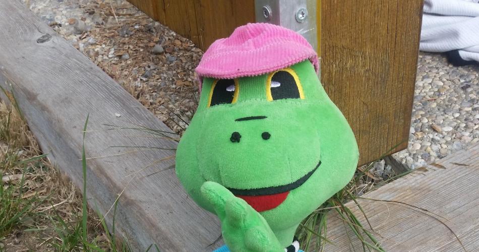 Hopsi Hopper
