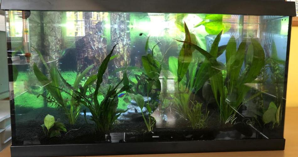 Aquarium