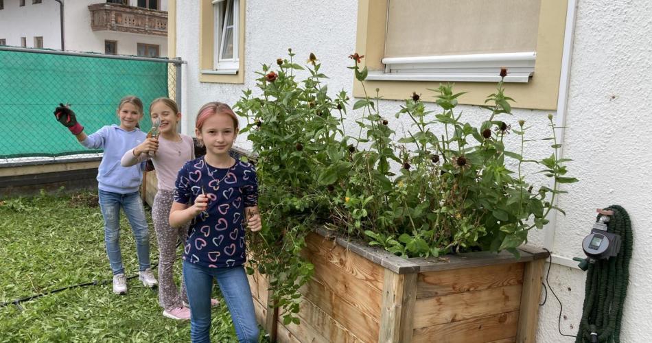 Beim Bearbeiten des Hochbeetes